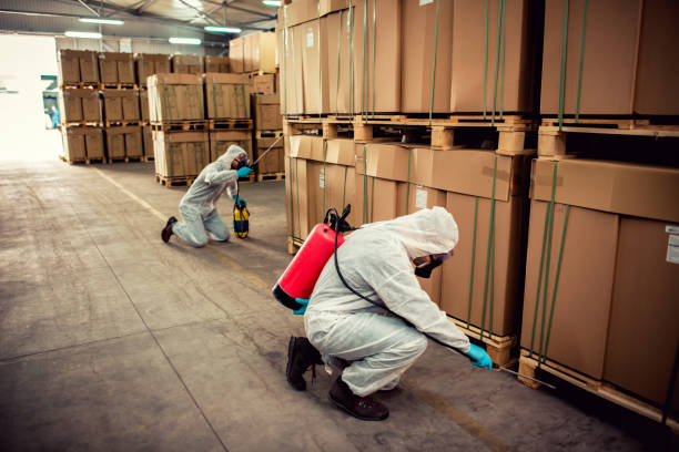 Professional Pest Control in Wellsville, UT