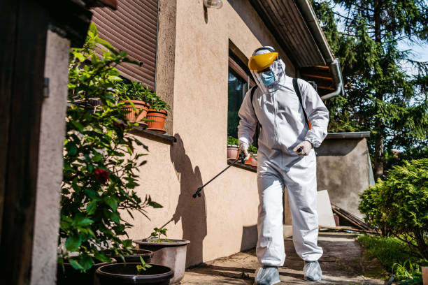Best Rat Extermination Near Me  in Wellsville, UT