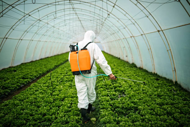 Best Pest Control Near Me  in Wellsville, UT