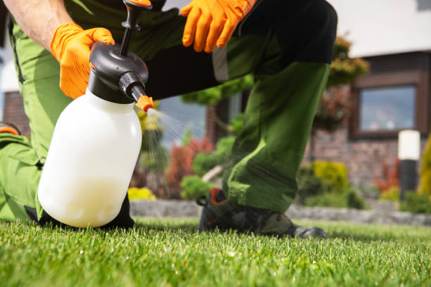 Best Residential Pest Control  in Wellsville, UT