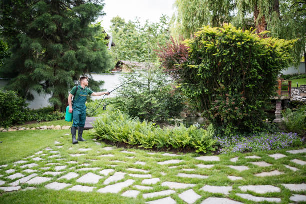 Best Mosquito Control Services  in Wellsville, UT
