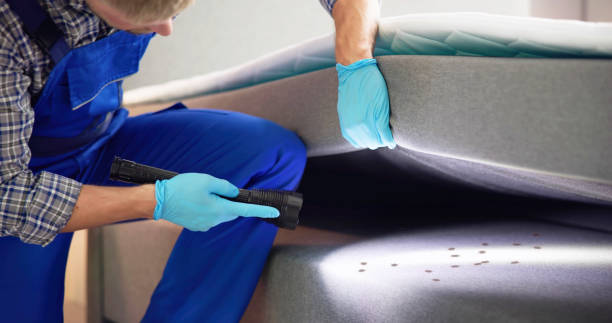 Best Ant Control Services  in Wellsville, UT