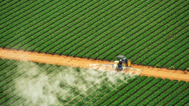 Best Pest Inspection Near Me  in Wellsville, UT