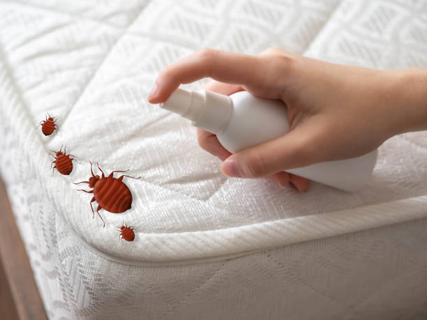 Best Best Pest Control Companies  in Wellsville, UT