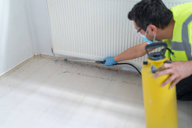 Best Best Pest Control Companies  in Wellsville, UT