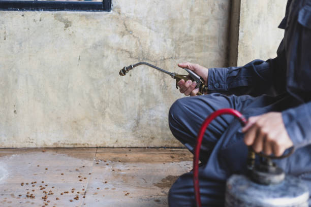 Best Best Pest Control Companies  in Wellsville, UT
